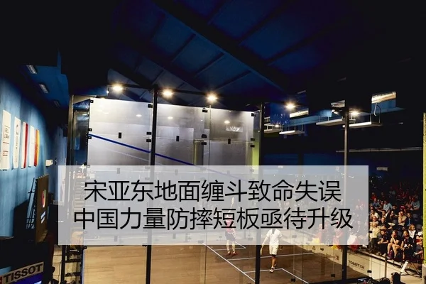 song-ya-dong-di-mian-chan-dou-zhi-ming-shi-wu-zhong-guo-li-liang-fang-shuai-duan-ban-ji-dai-sheng-ji-2-713.jpg